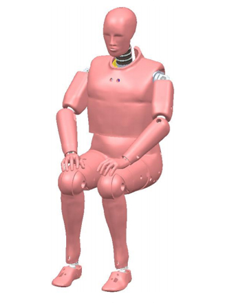 Hybrid Ⅲ 95th假人