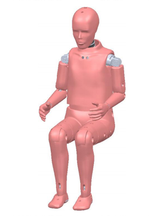 Hybrid Ⅲ 5th 假人