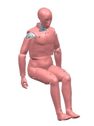 FAA HⅢ-50th 假人