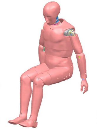 Hybrid Ⅲ 50th假人