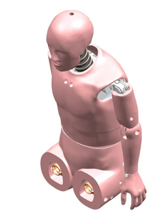 中国50百分位人体坐姿假人